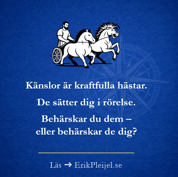 Känslor är kraftfulla hästar. De sätter dig liv i rörelse. Behärskar du dem – eller behärskar de dig?